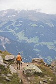 Männlicher Wanderer auf einem Wanderweg, Mayrhofen, Tirol (Österreich)