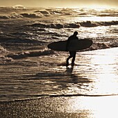 Silhouette eines Mannes, der ein Surfbrett trägt, Sag Harbor, New York, USA