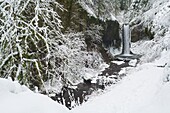 Weisendanger Falls Im Winter, Columbia River Gorge, Oregon, Usa