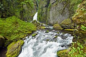 Wahclella Falls And Creek, Columbia River Gorge, Oregon, United States Of America
