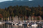 Coal Harbour, Vancouver, British Columbia, Canada