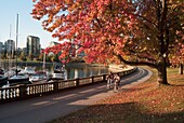 Radfahrer im Stanley Park; Vancouver, Britisch-Kolumbien, Kanada