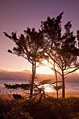 Moolack Beach, Oregon, Vereinigte Staaten Von Amerika; Sonnenuntergang an einem Strand