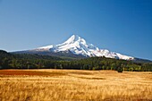 Oregon, United States Of America; Mount Hood From Hood River Valley