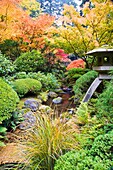 Portland, Oregon, United States Of America; Portland Japanese Garden In Autumn