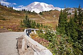 Mount Rainier National Park, Washington, United States Of America; A Path With Mount Rainier In The Background