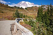 Mount Rainier National Park, Washington, Vereinigte Staaten Von Amerika; Ein Pfad mit Mount Rainier im Hintergrund