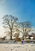 Sheffield, South Yorkshire, England; Fußabdrücke im Schnee, die zu Häusern und Bäumen führen