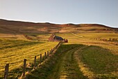 Northumberland, England; Ein Bauernhof und ein Zaun um ein Feld