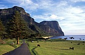 Empty Road Leading To Mount Gower And Mount Lidgbird