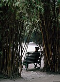 Man Resting On Bench In Bamboo Park