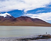 Lake In Altiplano