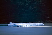 Eisberg auf dem Lago Grey Gletscher