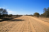 Dirt Road On Anna Creek Station