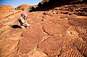 Child Looking At Patterns On Sandstone In Kings Canyon