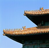 Detail Of The Roof In The Forbidden City