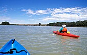 Kayaking On Murray River