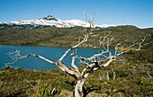 Torres Del Paine National Park