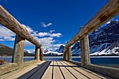Wooden Jetty On Bow Lake