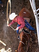 Cowboy auf einem Pferd beim Lassowerfen