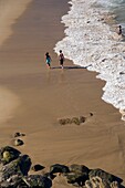 Couple Walking On Bondi Beach