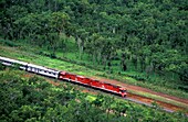 Der Ghan-Zug fährt durch den Wald