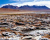 Landscape In Altiplano
