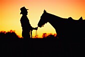Silhouetted Cowboy And Horse, Australia