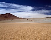 Altiplano Landscape