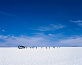 Group Bus Tour On Uyuni Salt Flat