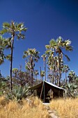 Jack's Camp in der Kalahari-Wüste