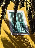 Window With Closed Shutters Behind Palm Leaf, Close Up