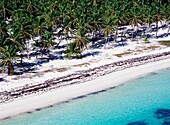 Aerial View Of Tropical Beach