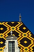 Hotel Dieu Roof, Close Up