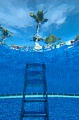 Underwater View Of Swimming Pool Steps And Palm Tree