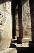 Carvings On Pillars On Medinet Habu