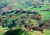 Huts Along Green Hilly Landscape