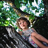 Junges Mädchen im Walnussbaum sitzend.