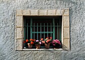 Window Detail With A Flower Box In Provence, France