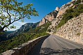 France, The Road On The North Side Of The Verdon Gorge; Provence