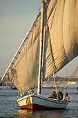 Felucca On River Nile At Dusk