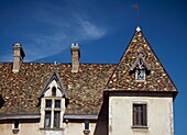 Ceramic Tiled Roof Of Chateau Marguerite Bourgogne