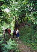People Hiking In Countryside