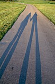 Schatten eines händchenhaltenden Paares im Park