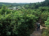 Kakum National Park