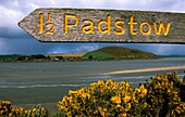 Padstow Signpost On The Camel Trail And Camel Estuary