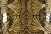 Winchester Cathedral Interior Ceiling And Windows, Close Up