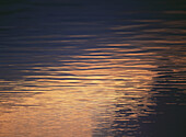 Calm Waters At Dawn Near Half Moon Bay