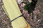 Tatami-Matten und Kirschblüten-Metalle