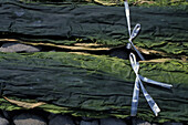 Bundles Of Dry Seaweed, Close Up